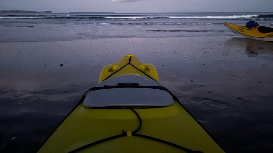 Auckland Bioluminescence Kayak Tour Deals